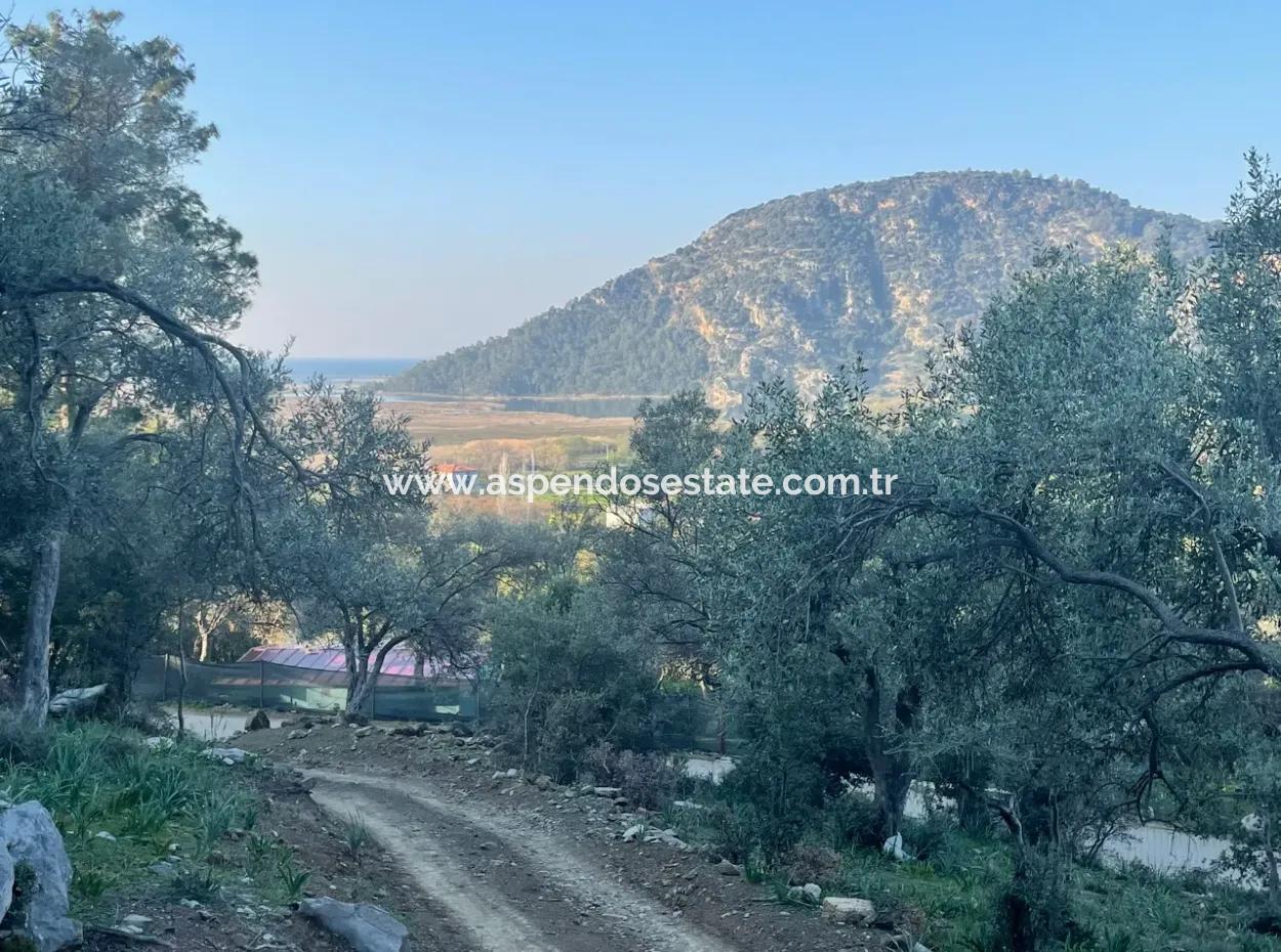 Çandır See Meerblick 2.806M2 2B Feld Zum Verkauf