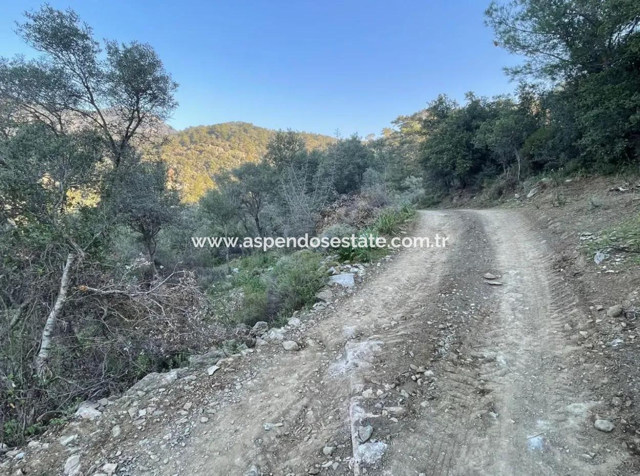 Çandır See Meerblick 2.806M2 2B Feld Zum Verkauf