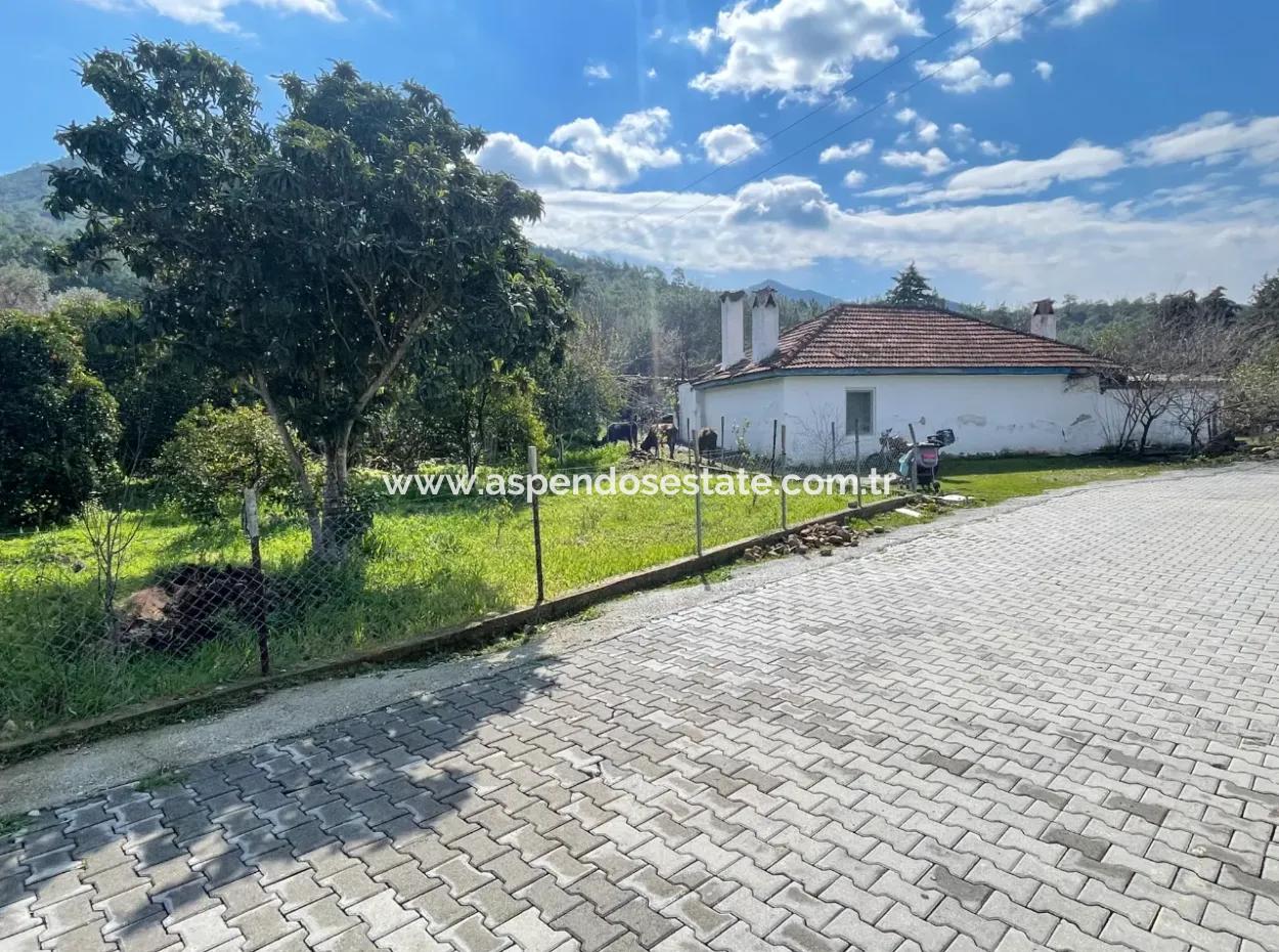 Sultaniye Büyükkaraç Mahallesin Gebraucht Kaufen Feld