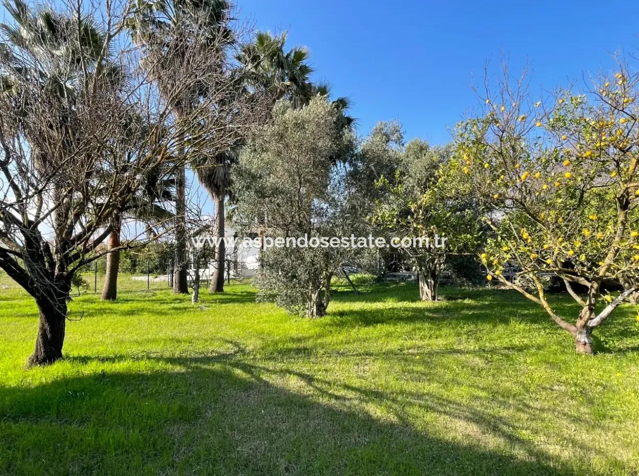 Einstöckiges Haus Zum Verkauf Auf Einem Grundstück Von 2882 M2 In Eskiköy