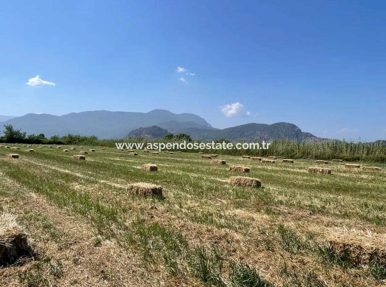 6.500 M2 Feld Zum Verkauf An Der Iztuzu-Straße In Dalyan
