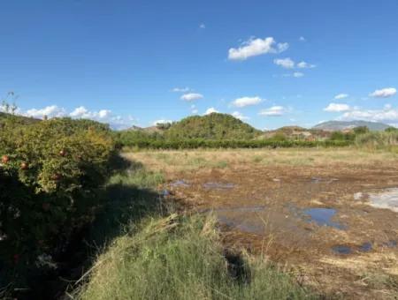 3900M2 Grundstück Zum Verkauf In Ortaca Yeşilyurt