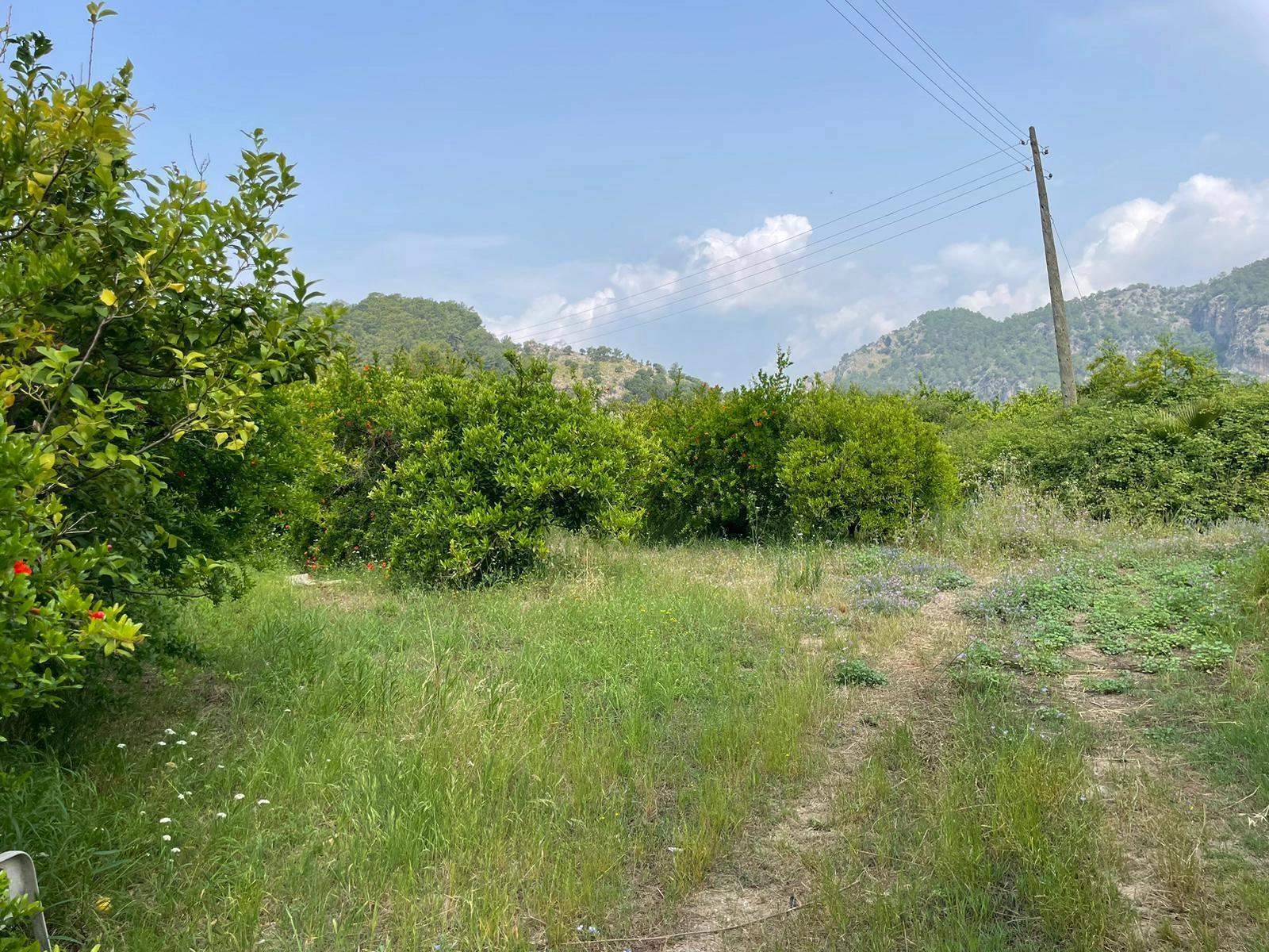 7800m2 Land For Sale In Gökbel, Next To Iztuzu Beach Road