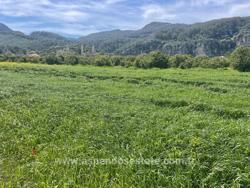 Archers' In Okçular'da 736m2 Olan 250m2 Construction Licensed For Sale Plot