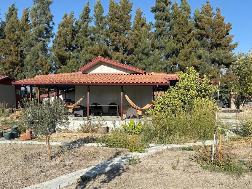 19,663 M² Farm Land And House In Eskiköy