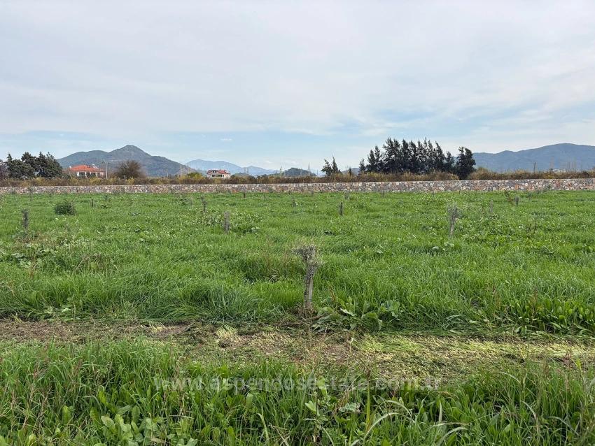 19,663 M² Farm Land And House In Eskiköy