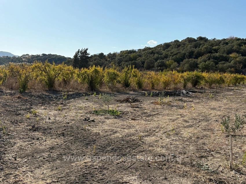 19,663 M² Farm Land And House In Eskiköy