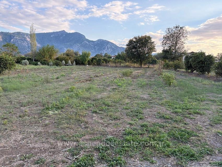 7,450 M² Plot Of Land For Sale In Dalyan With 5% Zoning.