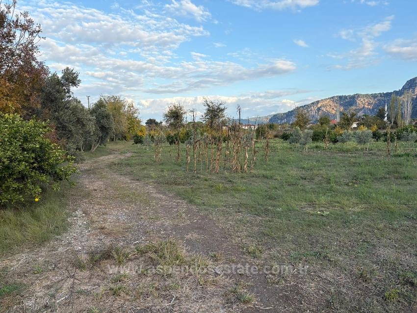 7,450 M² Plot Of Land For Sale In Dalyan With 5% Zoning.