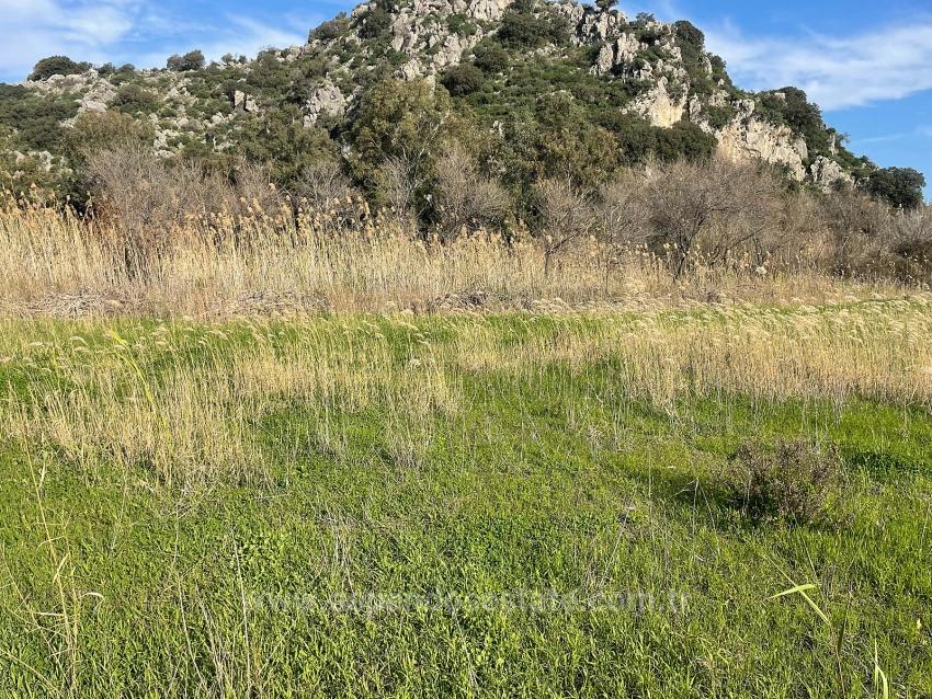 6800 M2 Plot Of Land For Sale In Dalyan With 5% Residential Zoning.