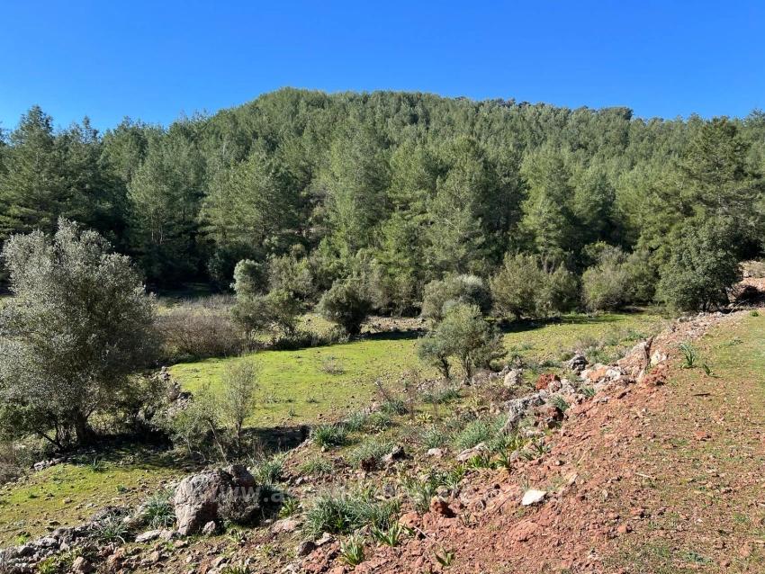 Land For Sale In Gökbel, Surrounded By Nature And Forest.