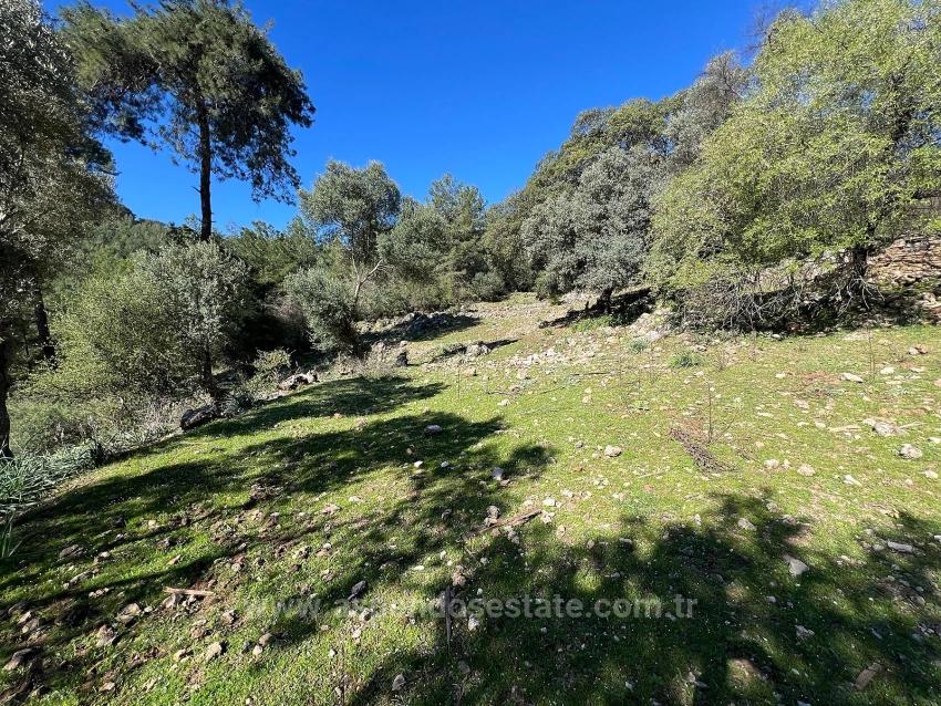 Land For Sale In Gökbel, Surrounded By Nature And Forest.
