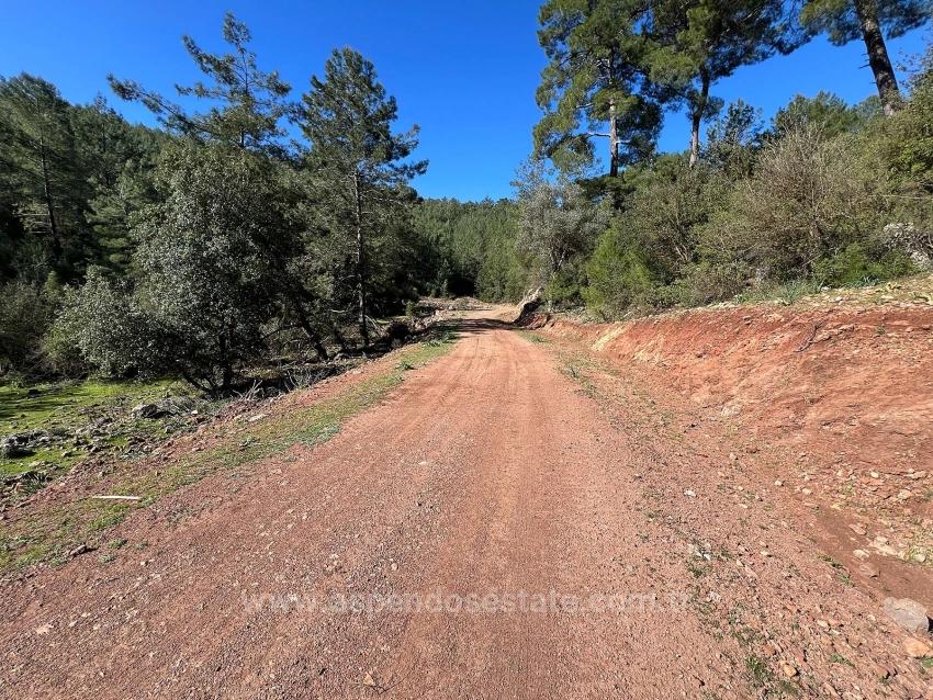 Land For Sale In Gökbel, Surrounded By Nature And Forest.