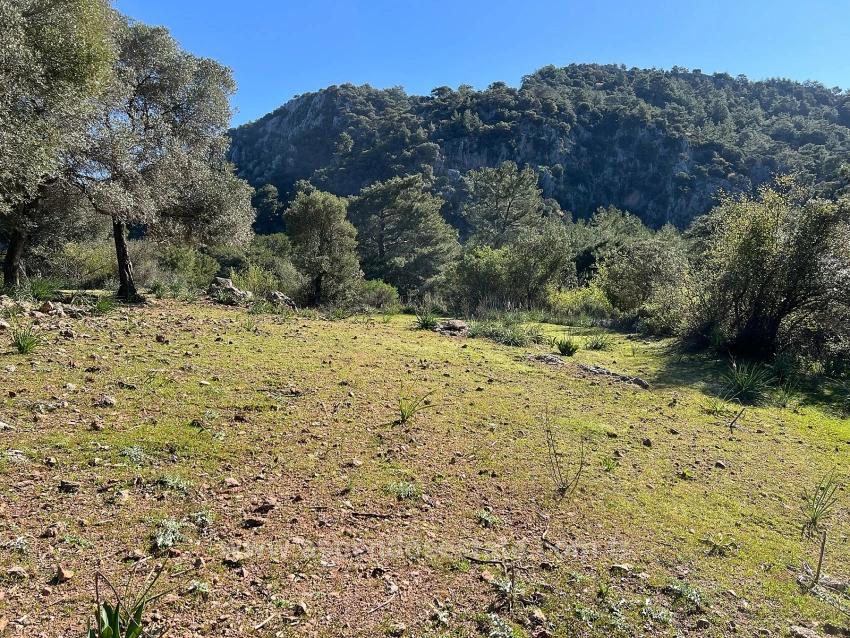 Land For Sale In Gökbel, Surrounded By Nature And Forest.