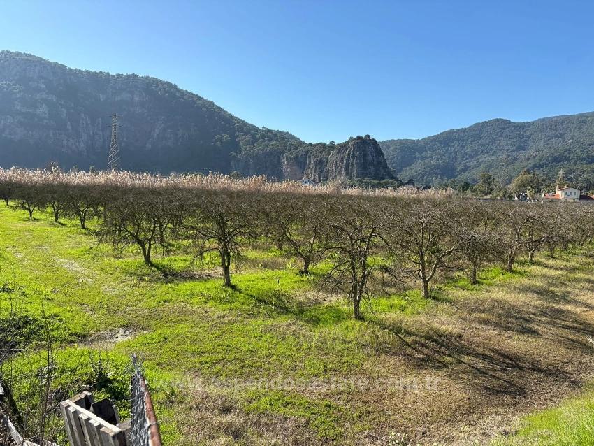 5985M2 Plot Of Land For Sale In Dalyan, Zoned For 5% Vineyard/Orchard Use.