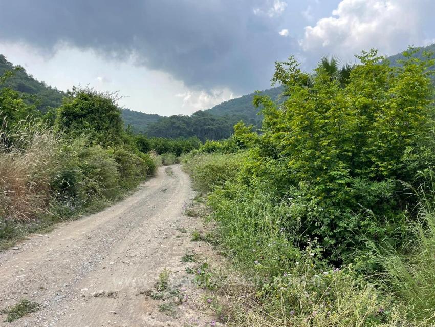 7800M2 Land For Sale In Gökbel, Next To Iztuzu Beach Road