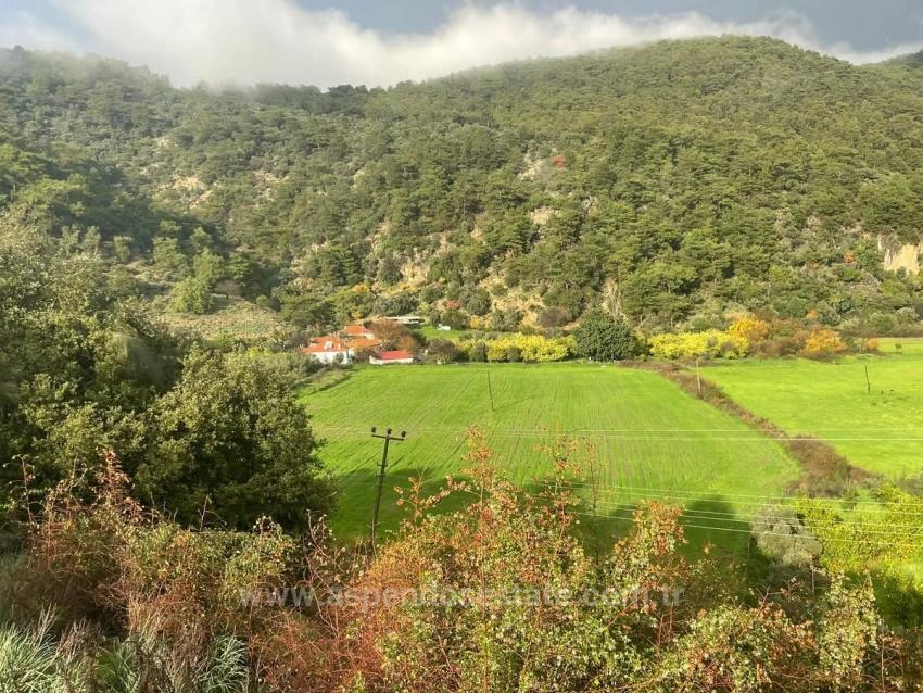 35,000 M² Land For Sale In Çandır, Köyceğiz.