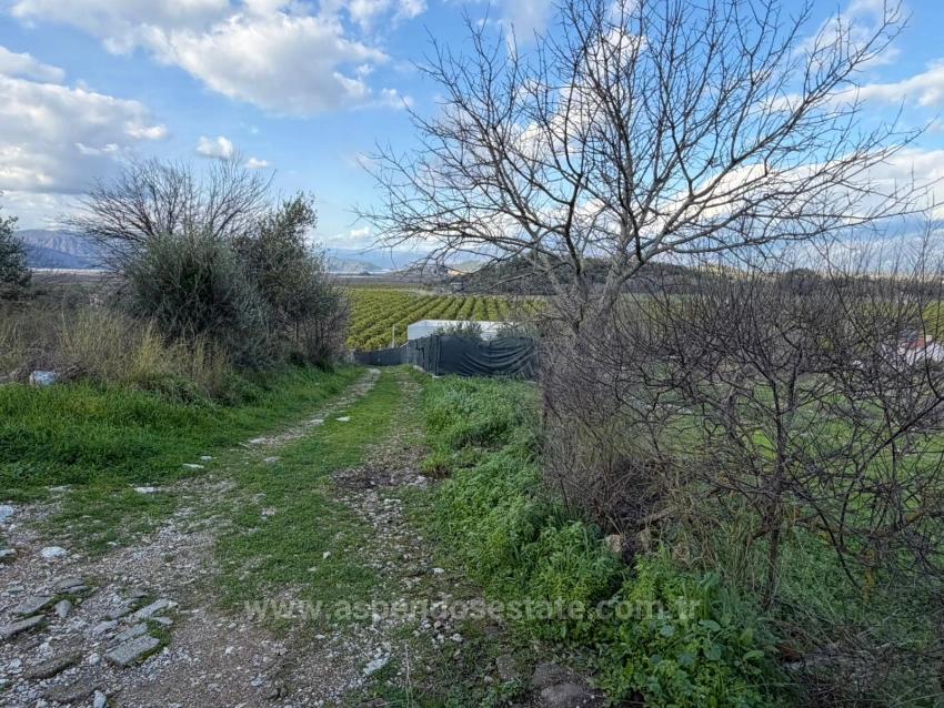 11,230 M² Plot Of Land For Sale In Dalyan With Lake View.