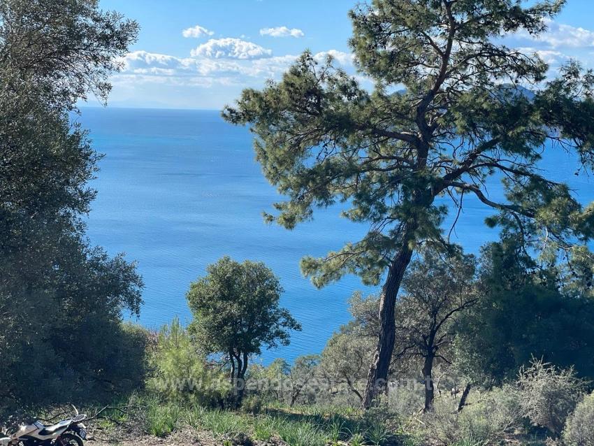 Çandır 20.000M2 2B For Sale With Full Sea View