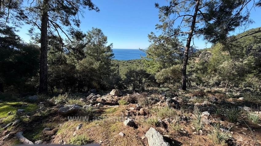 2B Field Of 5715M2 For Sale With Full Sea View In Çandır