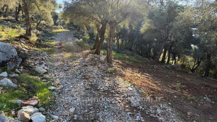 2B Field Of 5715M2 For Sale With Full Sea View In Çandır