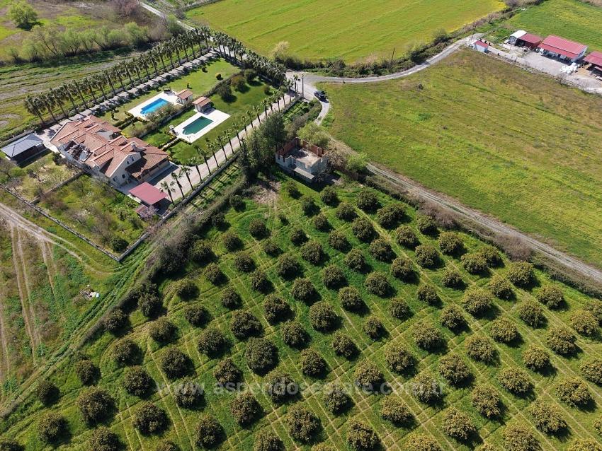 17.550M2 Vineyard-Bahce For Sale Close To Dalyan Center