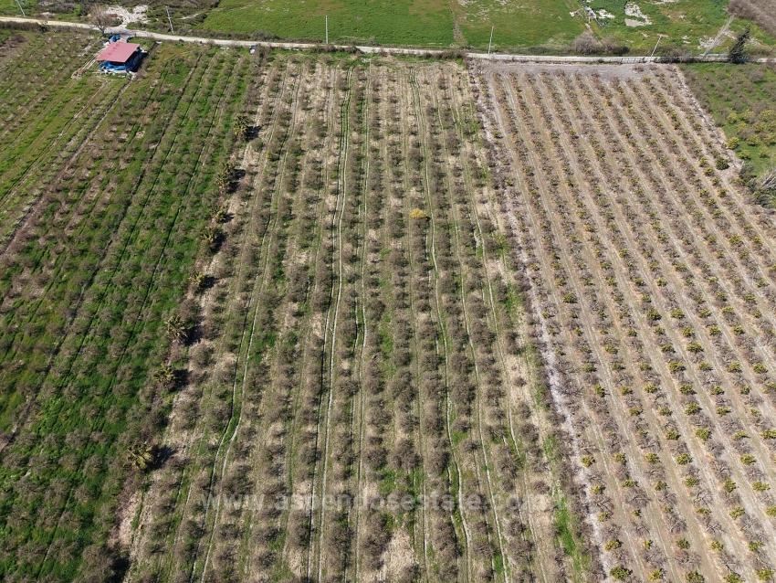 16.710M2 Pomegranate Garden For Sale With Lake View In Eskiköy