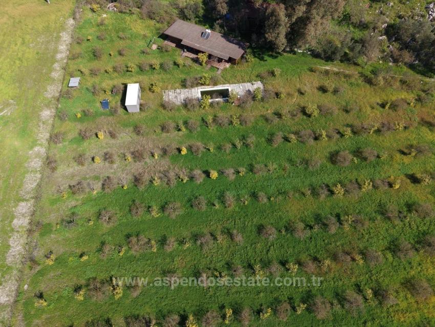 Tourism-Oriented Business For Sale On An 11,000 M2 Plot Of Land In Eskiköy.