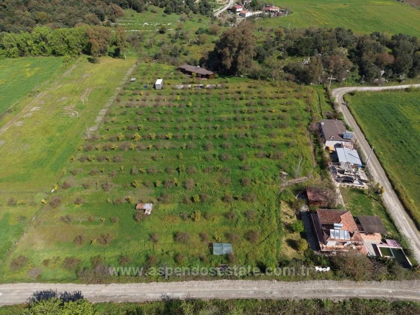 Tourism-Oriented Business For Sale On An 11,000 M2 Plot Of Land In Eskiköy.