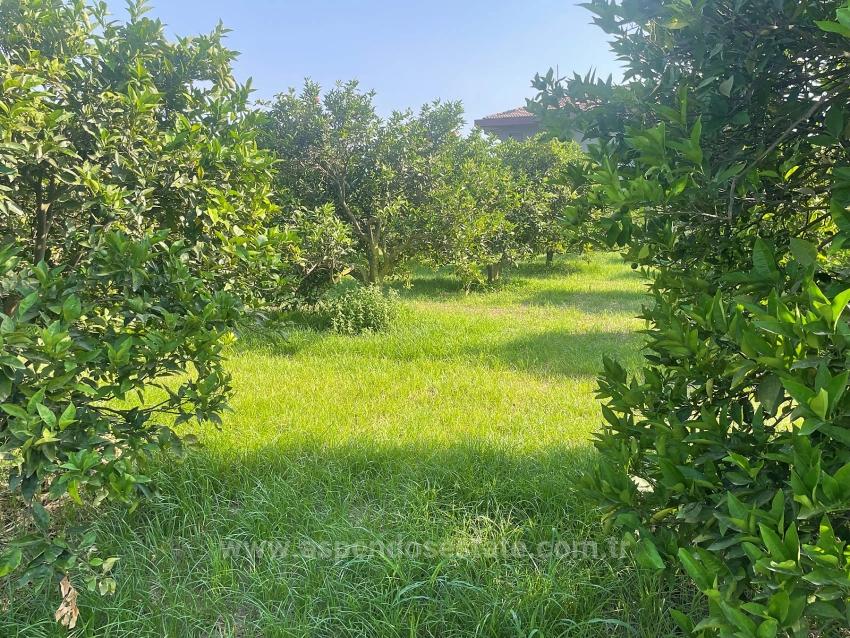 722M2 Land For Sale In Dalyan Gülpınar