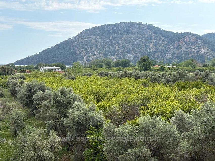 1.721M2 Field For Sale With Sea And Lake Views In Çandır Village