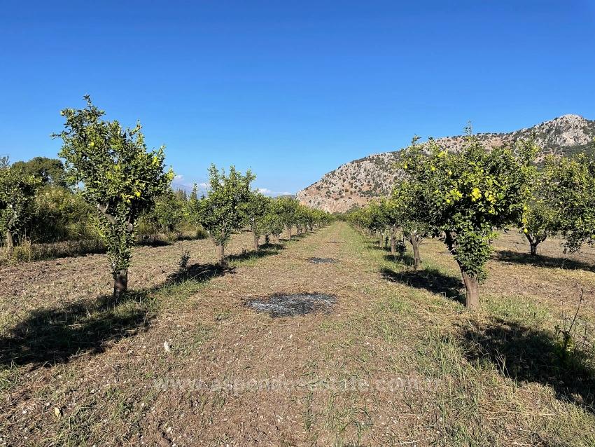 6600M2 Plot Of Land For Sale Near The Center Of Dalyan.