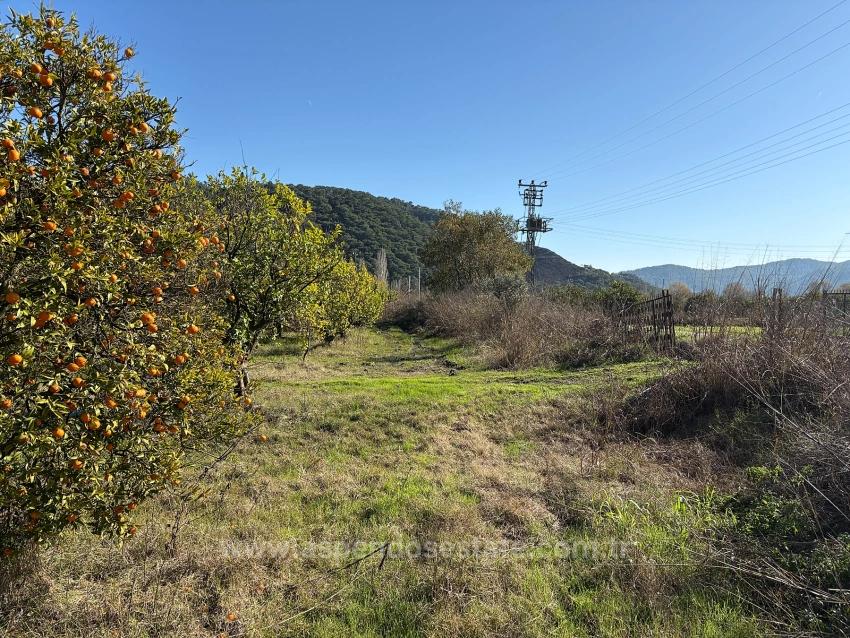 Field For Sale in Tepearası Nbh. Ortaca - Vineyards & Orchards Zoned - 23.000 m²