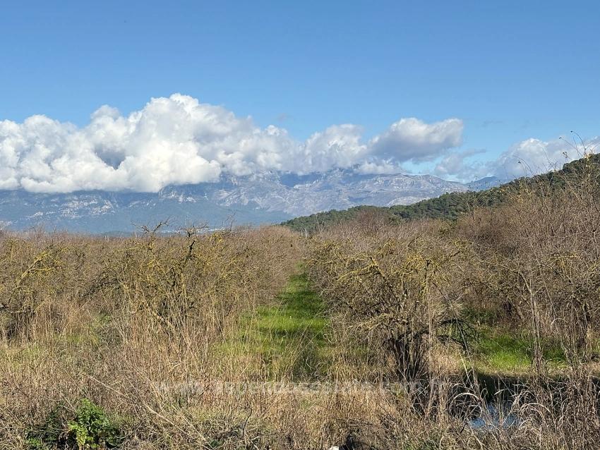 23,000 M² Detached Land For Sale In Tepearası.