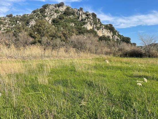 6800 M2 Plot Of Land For Sale In Dalyan With 5% Residential Zoning.