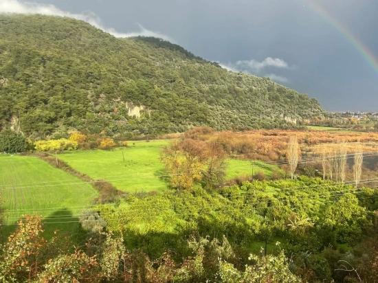 35,000 M² Land For Sale In Çandır, Köyceğiz.