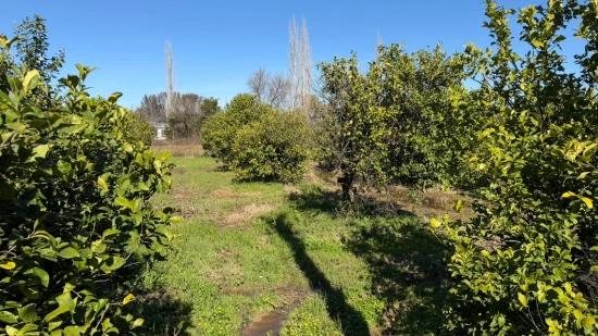 2.218M2 Land For Sale In Okçular Marmarlı