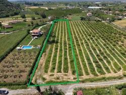 Field For Sale in Dalyan Nbh. Ortaca - Field Zoned - 5.100 m²