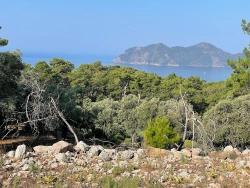 Bargain Real Estate Land For Sale With Sea View In Ekincik Çandır Arasın