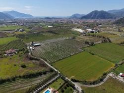 Vineyards & Orchards For Sale in Dalyan Nbh. Ortaca - Vineyards & Orchards Zoned - 17.550 m²