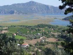 Field For Sale in Çandır Nbh. Köyceğiz - Field Zoned - 1.252 m²