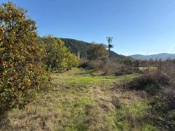 Field For Sale in Tepearası Nbh. Ortaca - Vineyards & Orchards Zoned - 23.000 m²