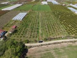 Field For Sale in Eskiköy Nbh. Ortaca - Field Zoned - 16.000 m²