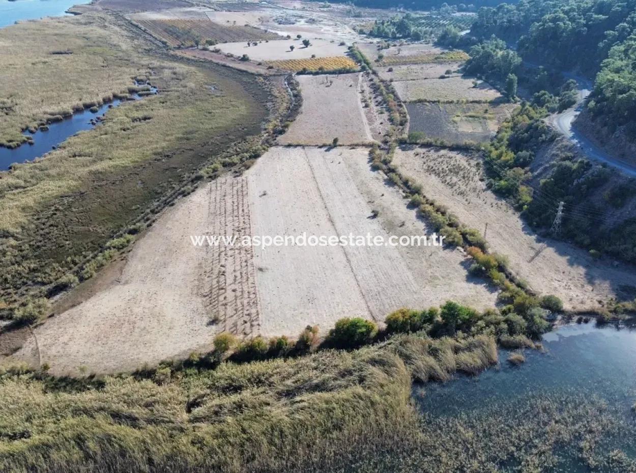 3210M2 2B Land For Sale By The Lake In Çandır