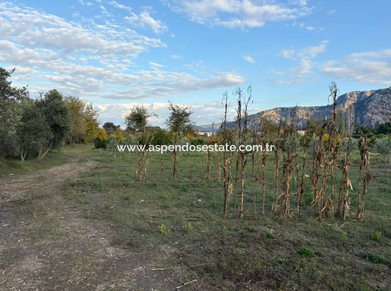 7,450M2 Land For Sale Close To The Center Of Dalyan