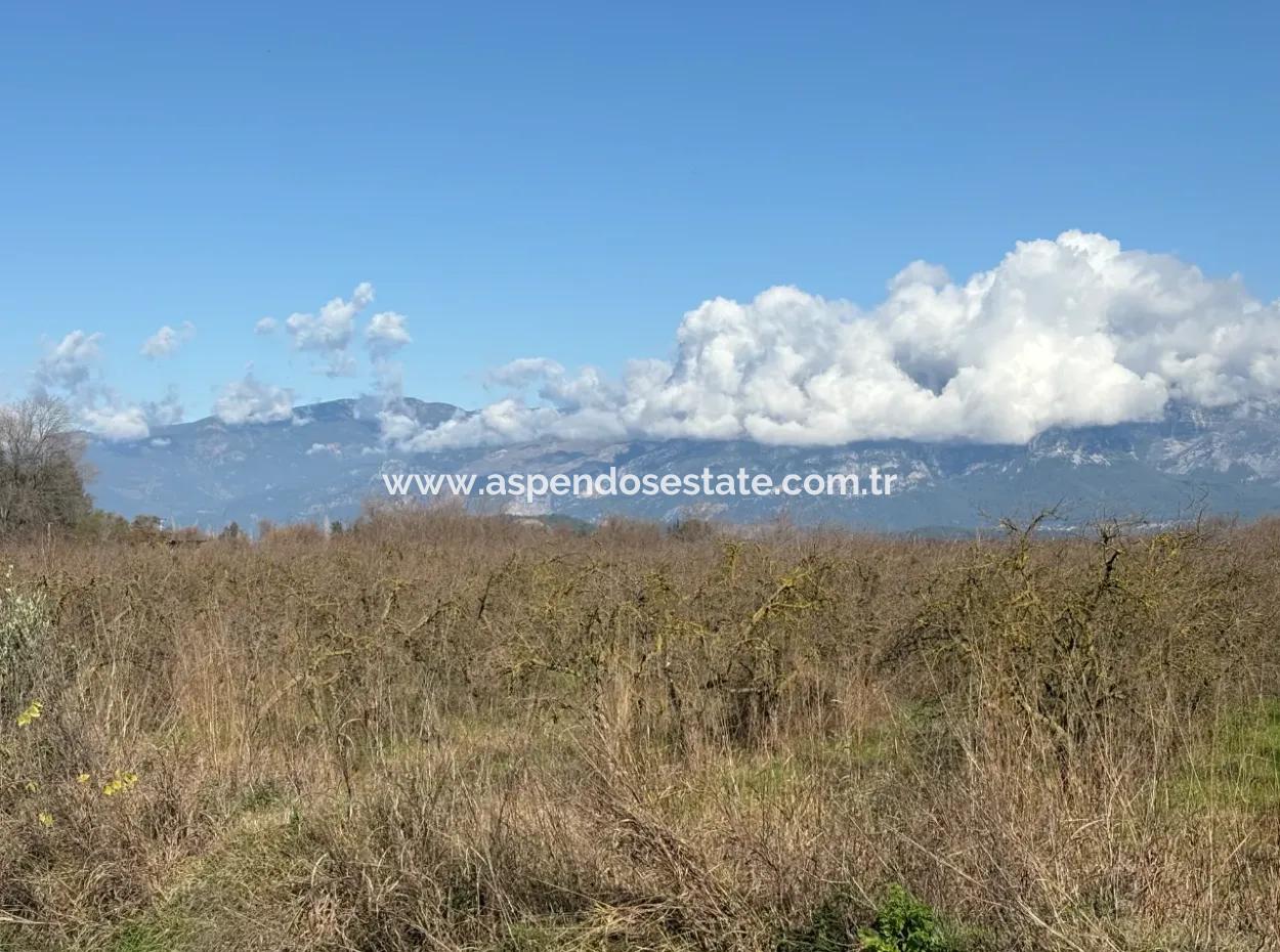 23,000M2 Detached Field Garden For Sale In Tepearasin,