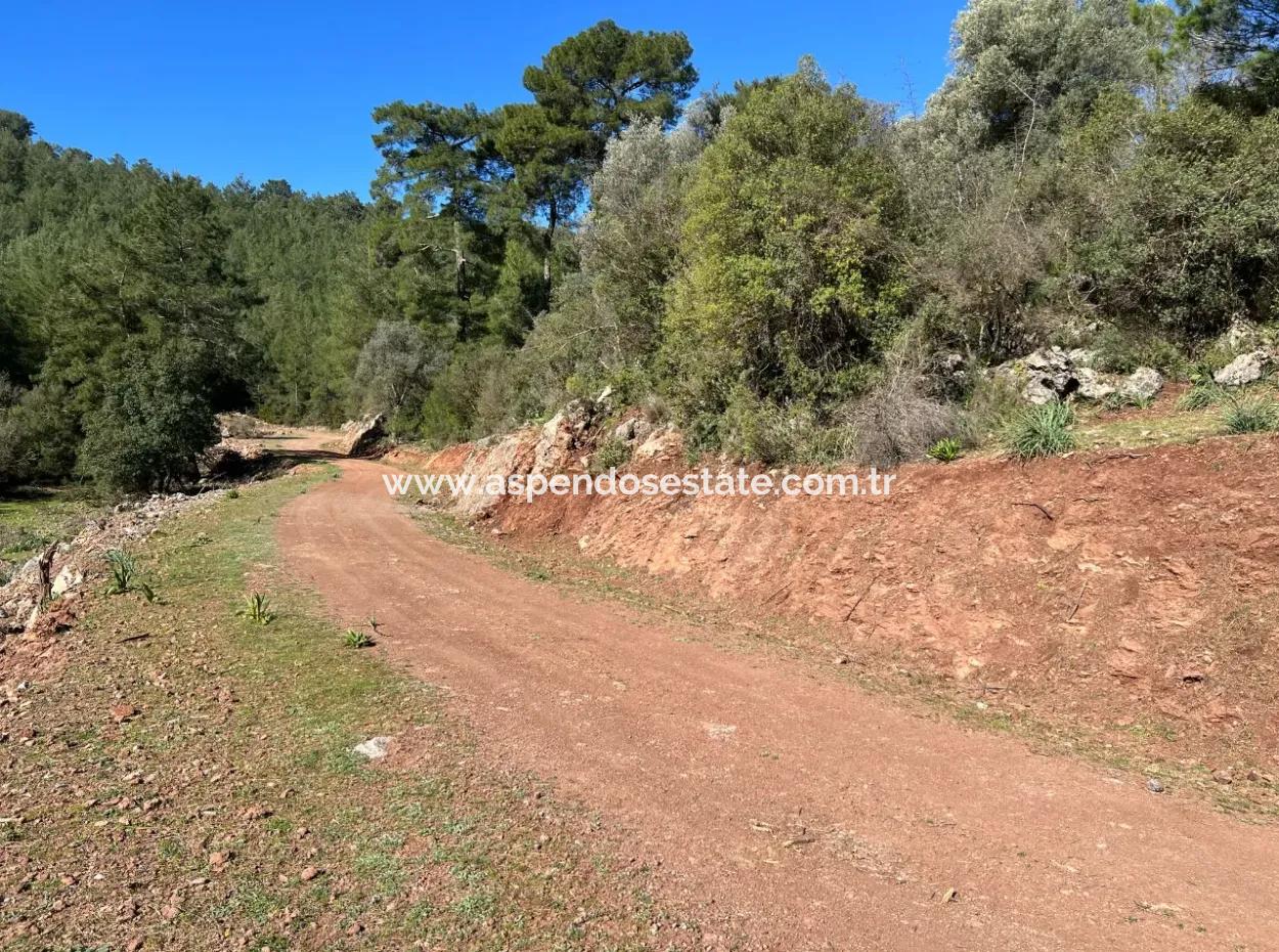 Land For Sale In Nature And Forest In Gökbel