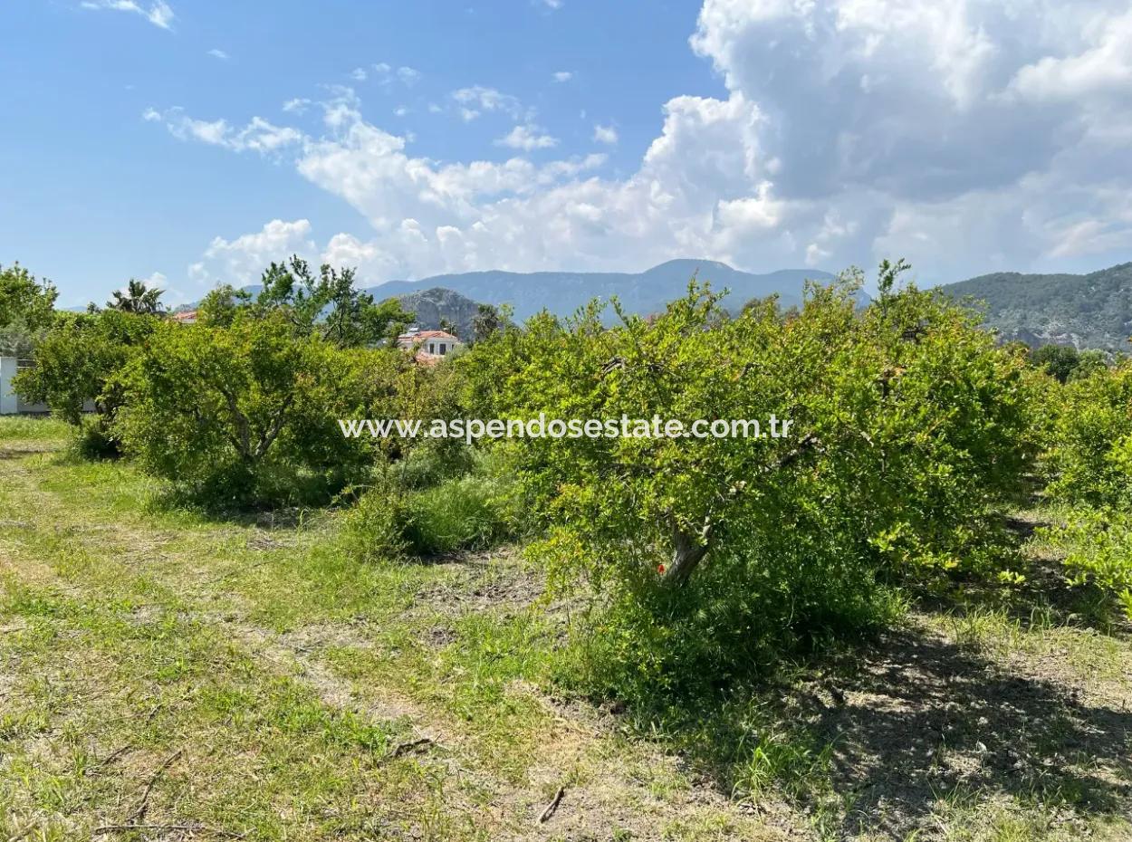5,100M2 Land For Sale In Dalyan Maraş Area With 5% Residential Zoning