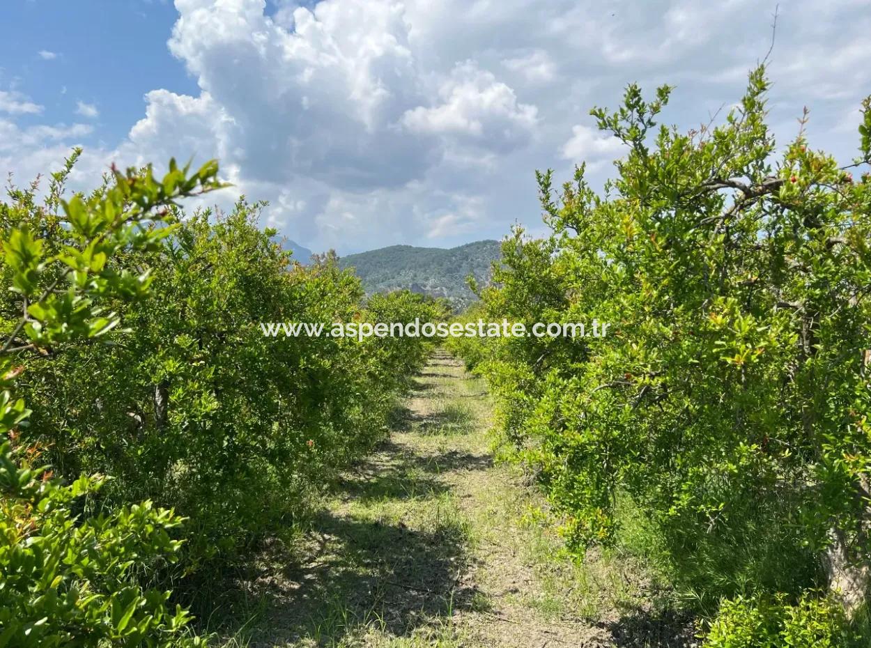 5,100M2 Land For Sale In Dalyan Maraş Area With 5% Residential Zoning