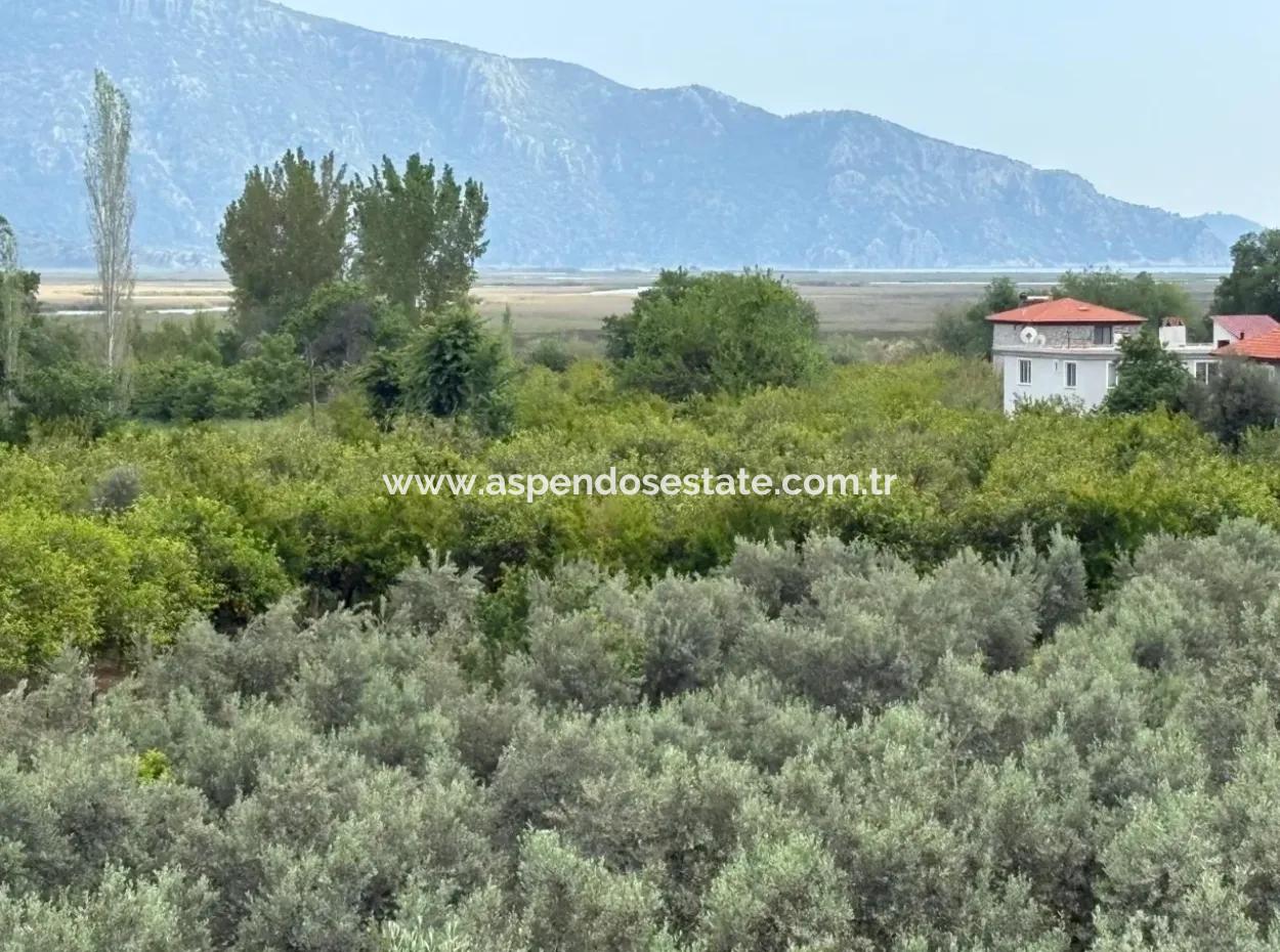 1,721M2 Land For Sale In Çandır Village With Sea And Lake Views